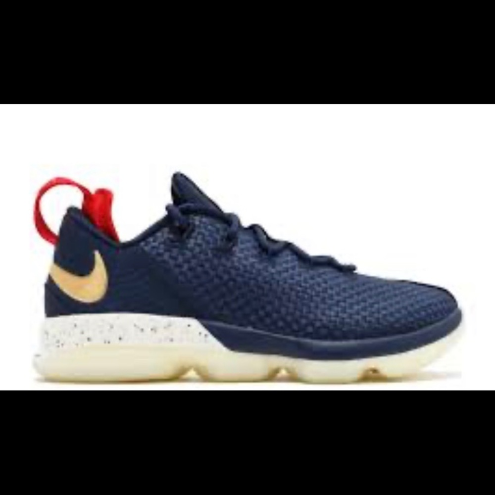 NIKE LeBron 14 Low USA